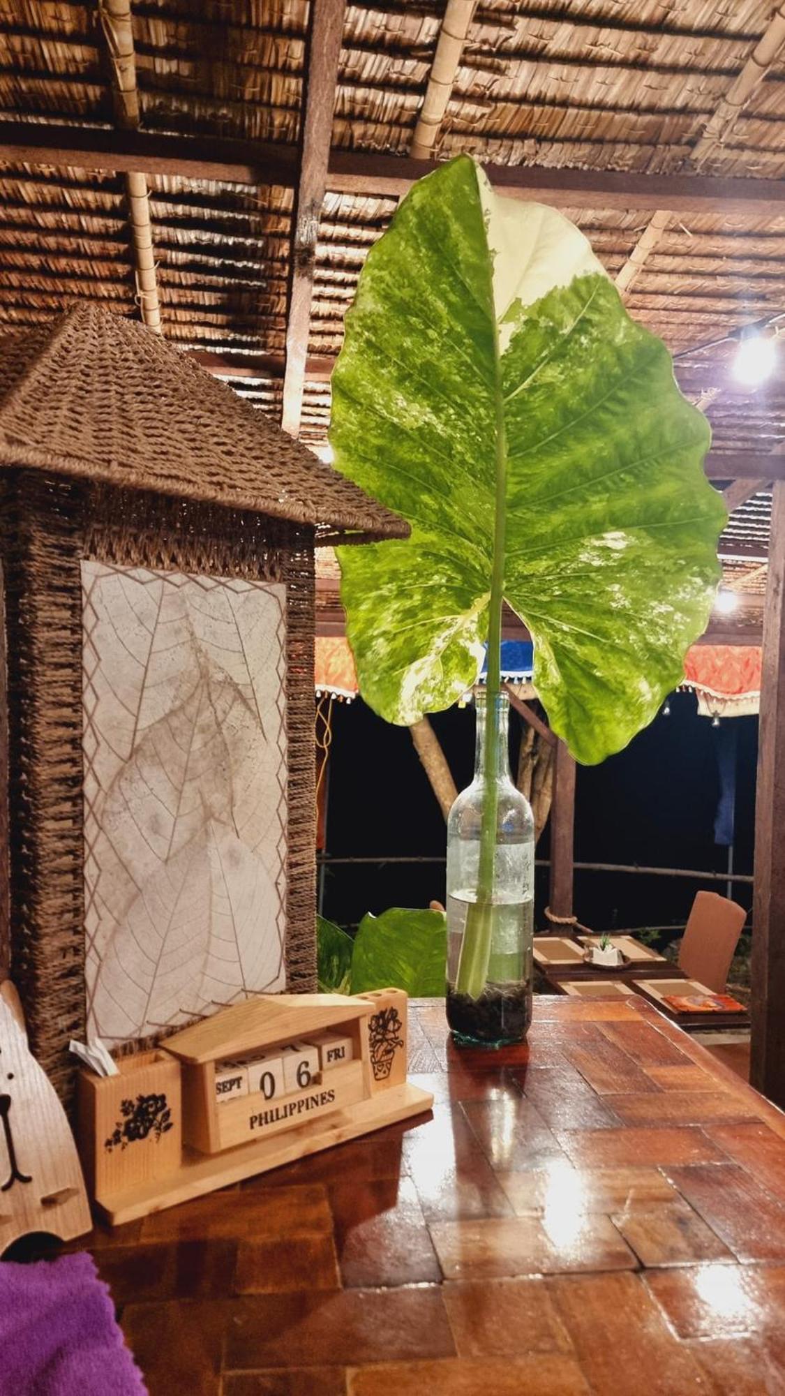 Jush Native And Glamping Hotel Dauis Luaran gambar